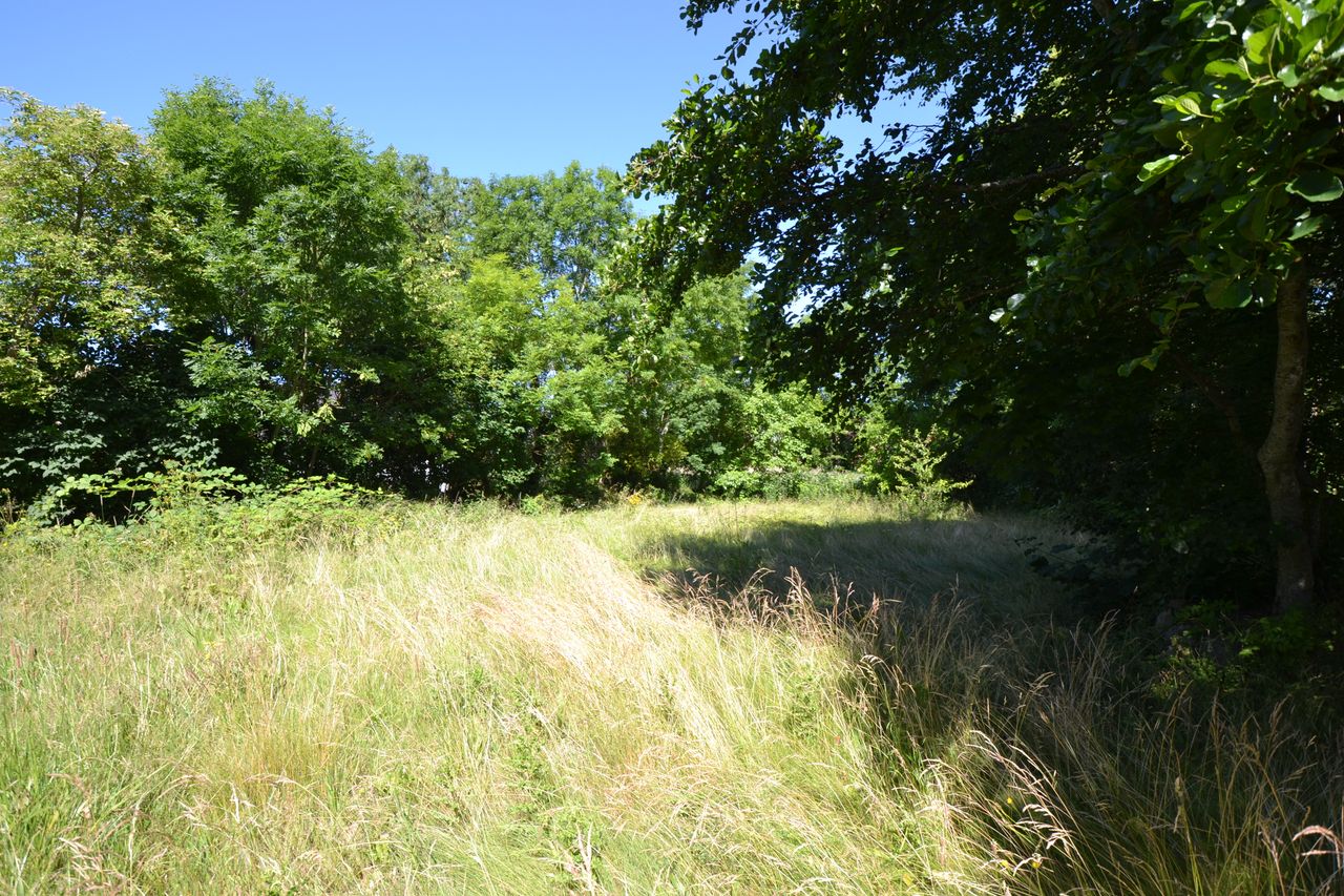 image 02